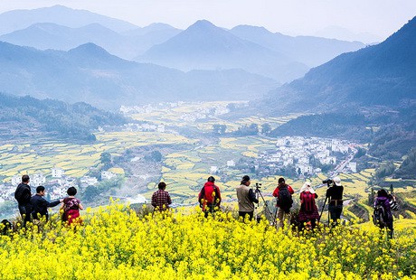深度經(jīng)典-景德鎮(zhèn)婺源2日游走進(jìn)婺源，中國(guó)醉美的鄉(xiāng)村，最后的香格里拉