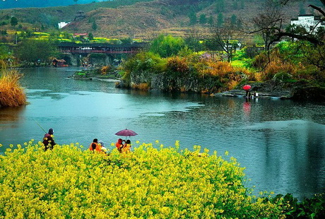 相約江西＜廬山+鄱陽(yáng)湖+景德鎮(zhèn)+婺源＞3日游純玩團(tuán)，天天發(fā)
