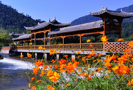 龍?jiān)磵{5
