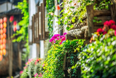 梯云人家-婺源篁嶺2日游萬(wàn)畝油菜花觀賞地、梯田上的山崖村落