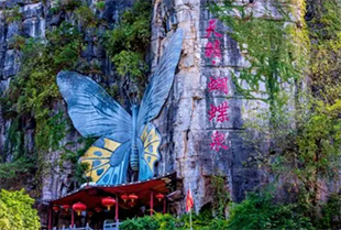 陽(yáng)朔蝴蝶泉