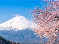 <日本三古都>巡禮親子7日游