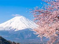 <日本三古都>巡禮親子7日游