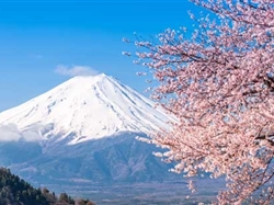 <日本三古都>巡禮親子7日游