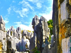 <特價(jià)云南>昆明大理麗江雙飛6日游