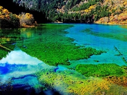 <純玩時(shí)代>成都熊貓基地/都江堰九寨溝黃龍 雙動(dòng)6日游