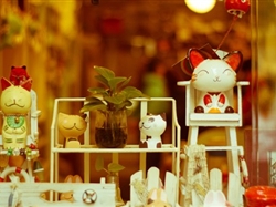 <東山島之旅>東山島純玩三日雙動3日游