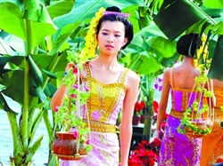 <享版納>南昌到西雙版納直飛5日游