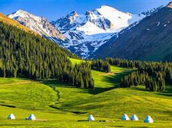 【冬戀雙湖】新疆北疆8日