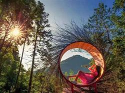 萬花谷網(wǎng)紅打卡、況鐘園林、西門古街 雙林寺1日游